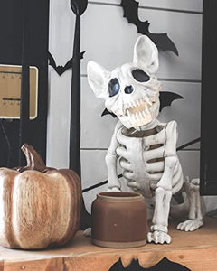 10.5 Inch Skeleton French Bulldog Halloween Life Size Decorations - Adler's Store