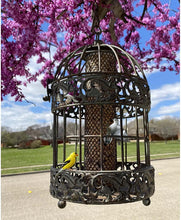 Load image into Gallery viewer, 13 Inch Squirrel Proof Rustic Hanging Bird Feeder - Adler's Store