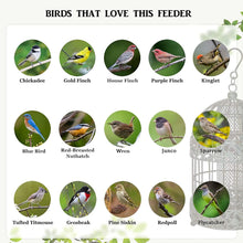 Load image into Gallery viewer, 13 Inch Squirrel Proof Rustic Hanging Bird Feeder - Adler's Store