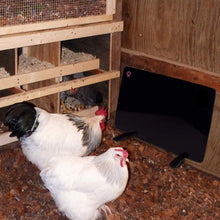 Load image into Gallery viewer, 200 Watts Small Animal Flat Panel Heater - Adler's Store