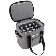 Load image into Gallery viewer, 24-Can Water Resistant Soft Cooler and Picnic Bag - Adler's Store