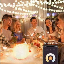 Load image into Gallery viewer, 3 Pack Smart Portable WiFi-Compatible Orb LED Light - Adler's Store