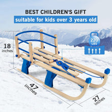 Load image into Gallery viewer, 47 Inches Foldable Children's Snow Sled with Detachable Back Support - Adler's Store
