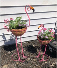 Load image into Gallery viewer, Majestic Bird with Coconut Fiber Basket Planters - Set of 2 - Adler's Store
