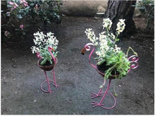 Load image into Gallery viewer, Majestic Bird with Coconut Fiber Basket Planters - Set of 2 - Adler's Store