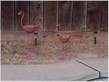 Load image into Gallery viewer, Majestic Bird with Coconut Fiber Basket Planters - Set of 2 - Adler's Store