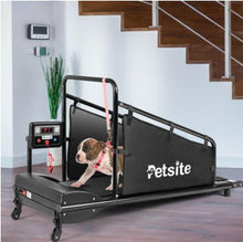 Load image into Gallery viewer, Pets Exercise Treadmill with Remote Control and LCD Screen - Adler's Store
