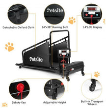 Load image into Gallery viewer, Pets Exercise Treadmill with Remote Control and LCD Screen - Adler's Store