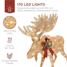 Load image into Gallery viewer, Pre-Lit 2-Piece Moose Family Holiday Decoration Set - Adler's Store