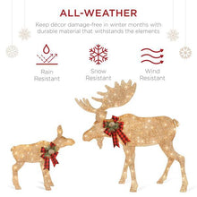 Load image into Gallery viewer, Pre-Lit 2-Piece Moose Family Holiday Decoration Set - Adler's Store