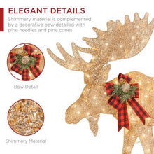 Load image into Gallery viewer, Pre-Lit 2-Piece Moose Family Holiday Decoration Set - Adler's Store