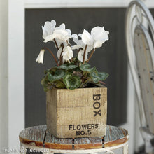 Load image into Gallery viewer, Rustic Wood Finished Concrete Square Flower Box Planter - Adler's Store