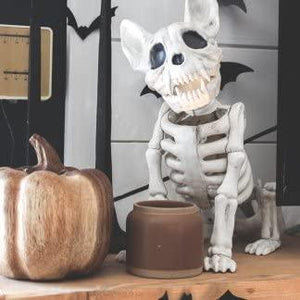 10.5 Inch Skeleton French Bulldog Halloween Life Size Decorations - Adler's Store