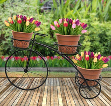 Load image into Gallery viewer, 3 Tiers Tricycle Plant Stand - Adler&#39;s Store