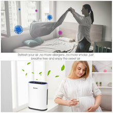 Load image into Gallery viewer, 4-in-1 Composite Ionic Low Noise Air Purifier with HEPA Filter - Adler&#39;s Store
