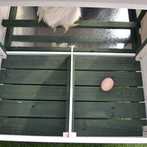 77 Inch Chicken Coop with 2-Part Nesting Box and Run - Adler's Store
