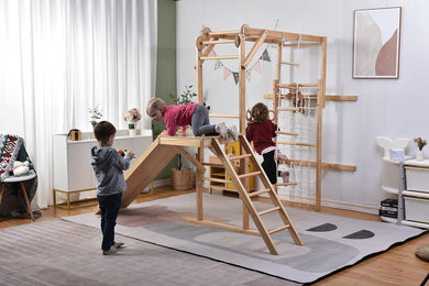 8-in-1 Extreme Indoor Playset Jungle Gym with Slide Swing Gymnastic Rings Climbing Rope and More - Adler's Store