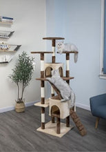 Load image into Gallery viewer, Cat tree with multiple levels and a cat sitting on it in a room with shelves and a plant.