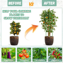 Load image into Gallery viewer, Adjustable Plants Trellis Support Cages for Climbing Plants