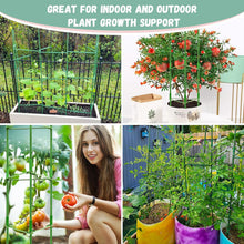 Load image into Gallery viewer, Adjustable Plants Trellis Support Cages for Climbing Plants