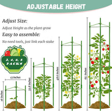 Load image into Gallery viewer, Adjustable Plants Trellis Support Cages for Climbing Plants