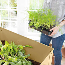 Load image into Gallery viewer, High Germination Seed Starting Kit with Cover and Reservoir