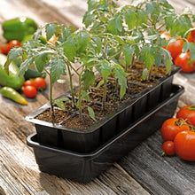 Load image into Gallery viewer, High Germination Seed Starting Kit with Cover and Reservoir