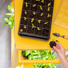 Load image into Gallery viewer, High Germination Seed Starting Kit with Cover and Reservoir