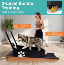 Load image into Gallery viewer, Pets Exercise Foldable Treadmill with Remote Control