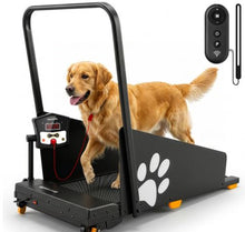 Load image into Gallery viewer, Pets Exercise Foldable Treadmill with Remote Control