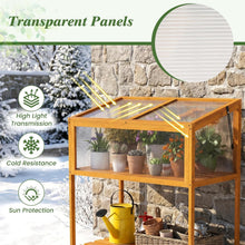 Load image into Gallery viewer, Outdoor greenhouse with transparent panels, plants, and gardening tools against a stone wall.
