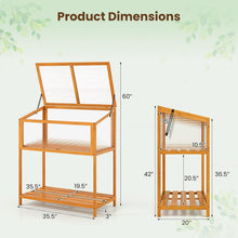 Load image into Gallery viewer, Dimensions of a wooden shelf with clear glass panels on a white background