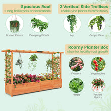 Load image into Gallery viewer, Fir Wood Freestanding Raised Planter Box Elevated Garden Bed with 2-Sided Trellis Hanging Roof and Drainage Holes