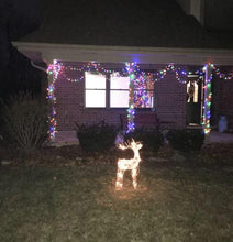 Load image into Gallery viewer, Halogen Lighted Proud Reindeer Display - Adler's Store