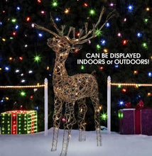 Load image into Gallery viewer, Halogen Lighted Proud Reindeer Display - Adler's Store