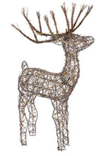 Load image into Gallery viewer, Halogen Lighted Proud Reindeer Display - Adler's Store
