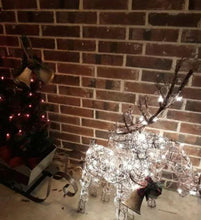Load image into Gallery viewer, Halogen Lighted Proud Reindeer Display - Adler's Store