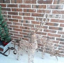 Load image into Gallery viewer, Halogen Lighted Proud Reindeer Display - Adler's Store
