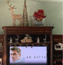 Load image into Gallery viewer, Halogen Lighted Proud Reindeer Display - Adler's Store