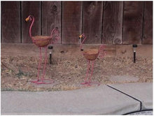 Load image into Gallery viewer, Majestic Bird with Coconut Fiber Basket Planters - Set of 2 - Adler&#39;s Store