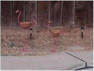 Majestic Bird with Coconut Fiber Basket Planters - Set of 2 - Adler's Store