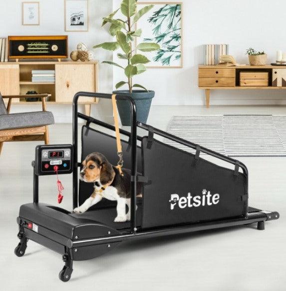Pets Exercise Treadmill with Remote Control and LCD Screen - Adler's Store