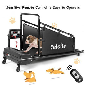 Pets Exercise Treadmill with Remote Control and LCD Screen - Adler's Store