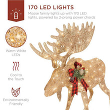 Load image into Gallery viewer, Pre-Lit 2-Piece Moose Family Holiday Decoration Set - Adler&#39;s Store