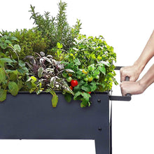 Load image into Gallery viewer, Raised Garden Planter Box on Wheels Elevated Bed - Adler&#39;s Store