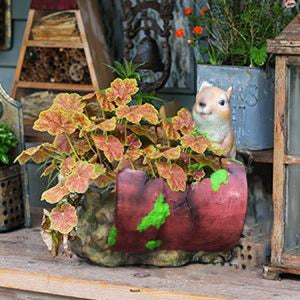 Squirrel on Spilled Flower Pot Decorative Garden Planter with Drainage - Adler's Store